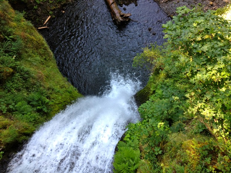 Looking down from Multnomah Falls bridge