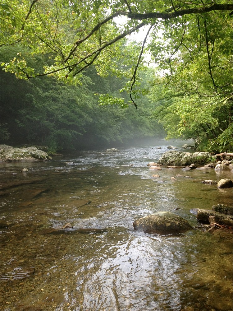 The Little River in Mist