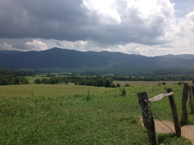 Cade's Cove field Cade's Cove view