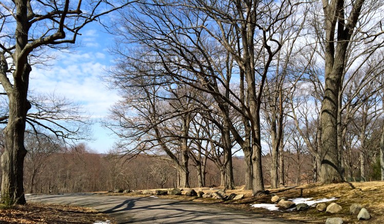 View from Scarborough Hill