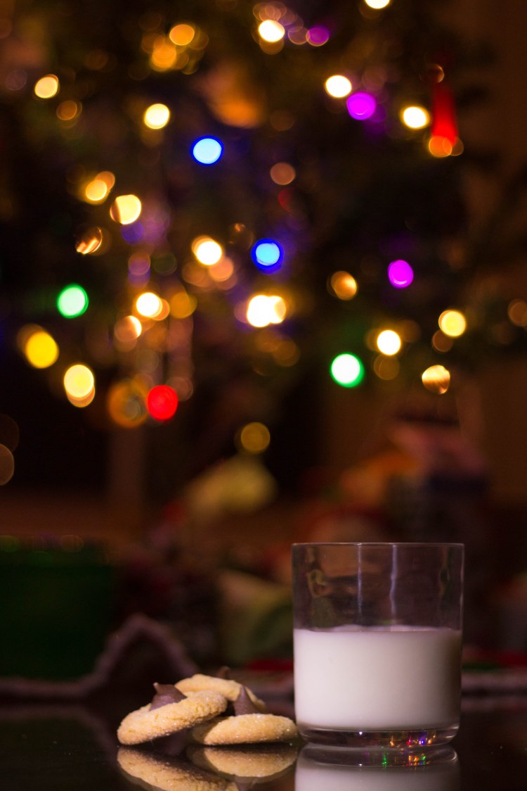 Cookies for Santa (1 of 1)