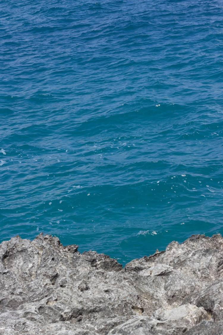 12794884_10153936926666900_5753606523916167336_o