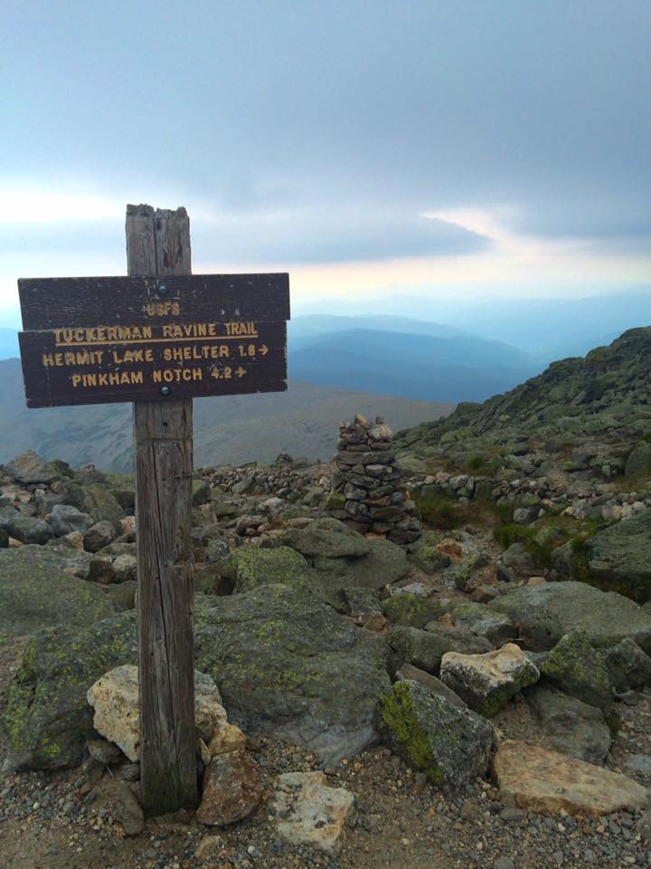 13516522_10154137745451900_4401520692028054350_n