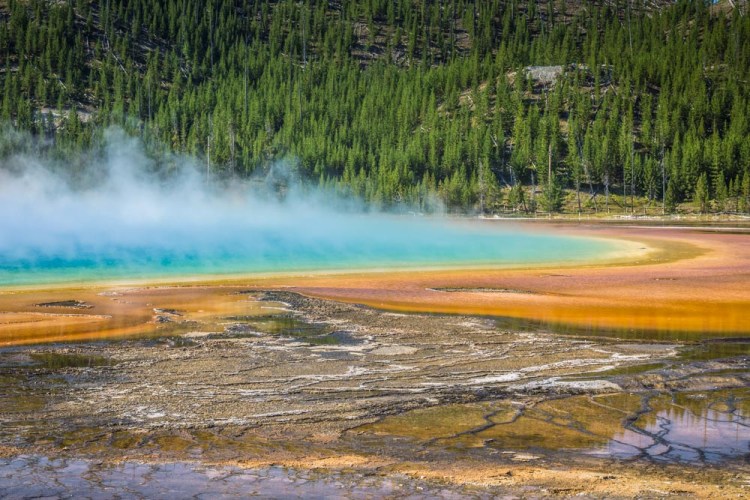 Yellowstone day 2 (43 of 40)