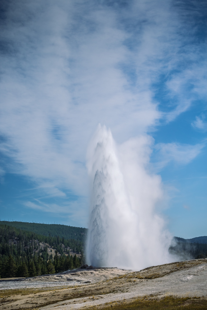 Yellowstone day 2 (47 of 40)