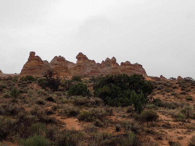 34525105512_ef7e316110_z