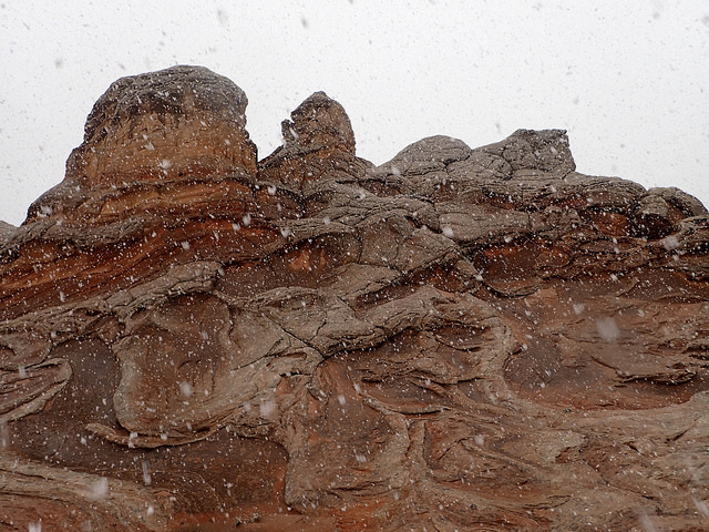 34525193402_247a5934b7_z