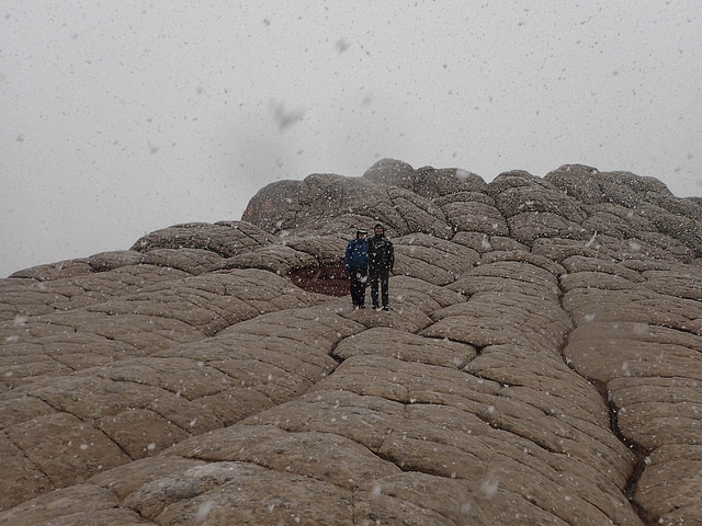 34525205762_b81519fb06_z