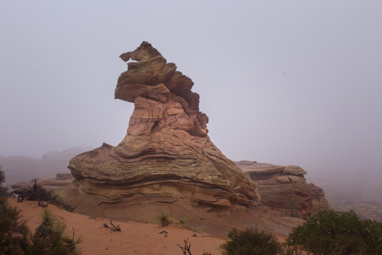 South Coyote Butte (14 of 30)