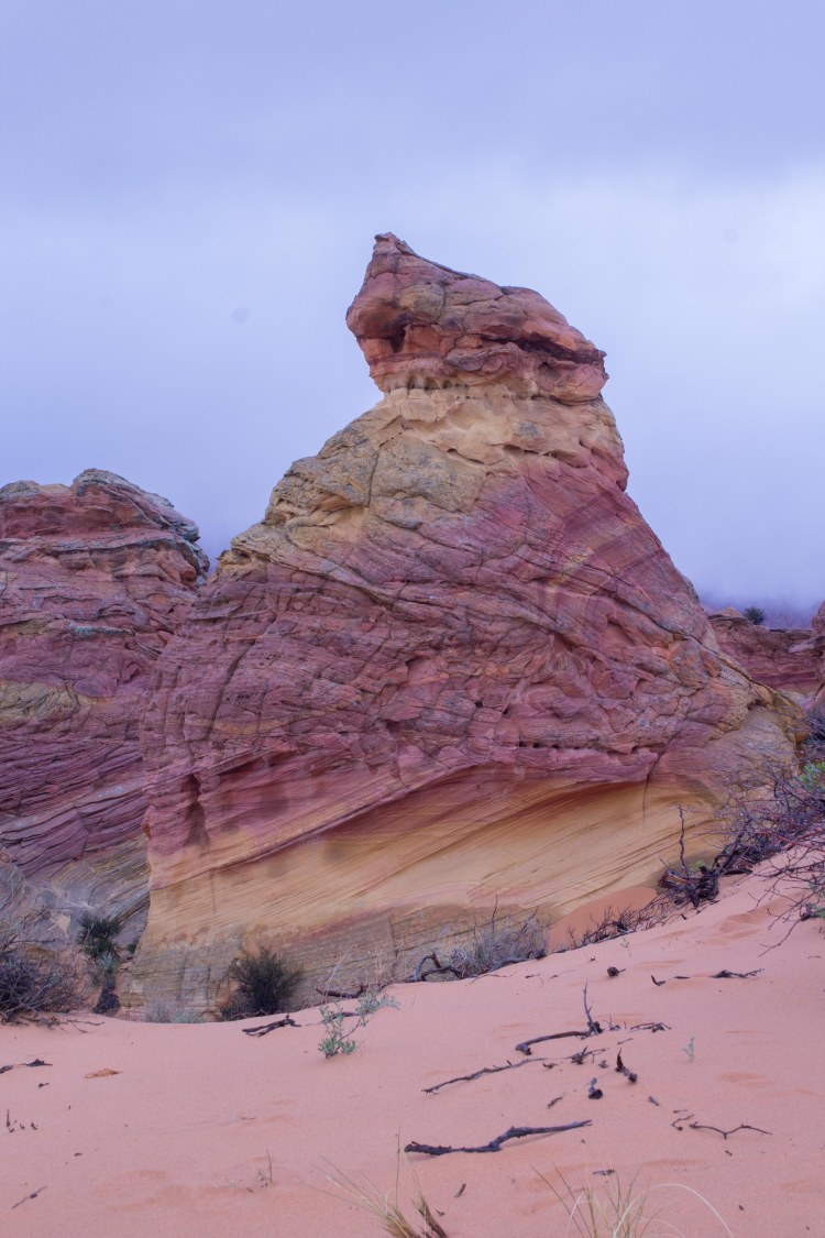 South Coyote Butte (3 of 30)
