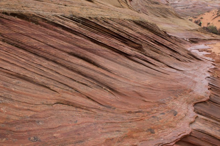 South Coyote Butte (7 of 30)