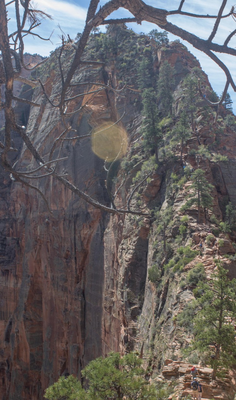 Zion 2017 Day 2 (10 of 32)