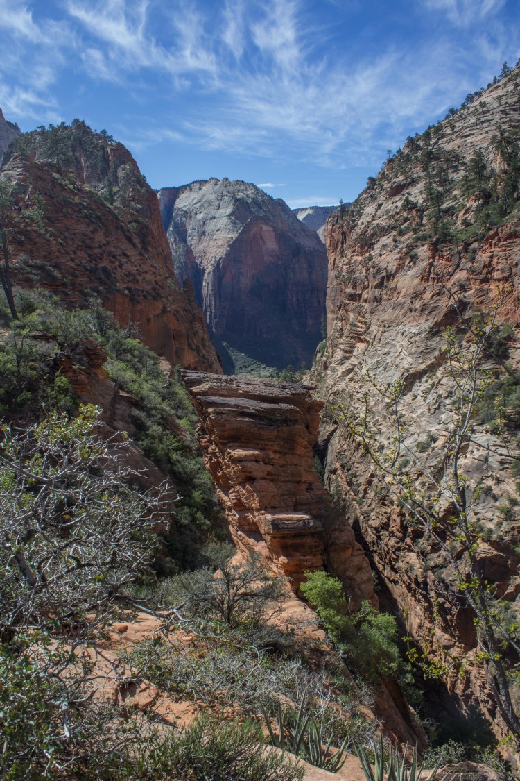 Zion 2017 Day 2 (7 of 32)