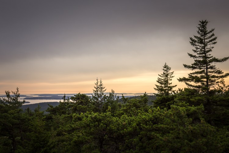Acadia2017 (1 of 1)-5.jpg