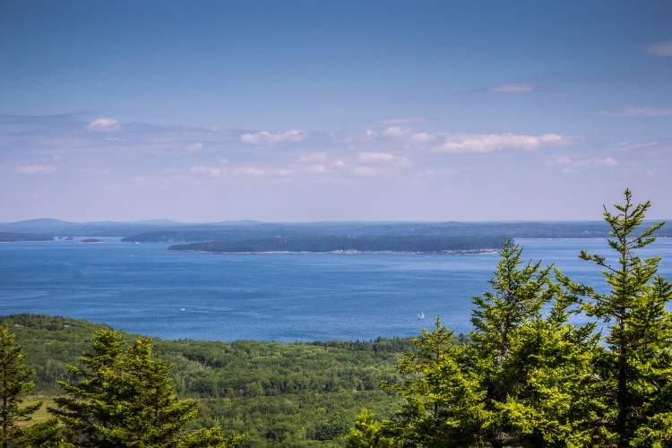 Acadia2017 (3 of 4).jpg
