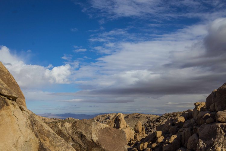 Joshua tree 2018 (15 of 53)