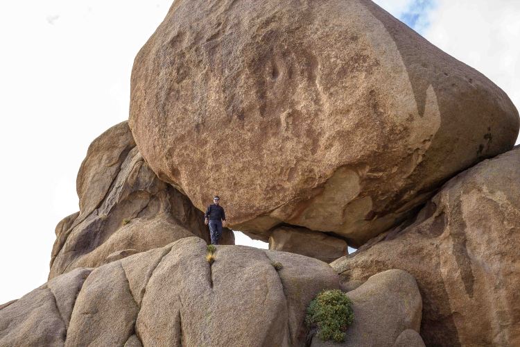 Joshua tree 2018 (6 of 53)