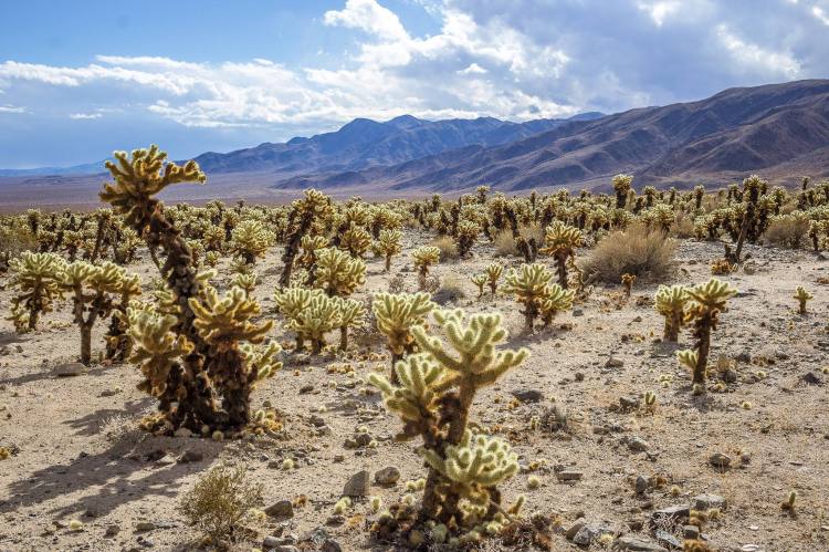 26910274_10155795198646900_4732767512004114911_o