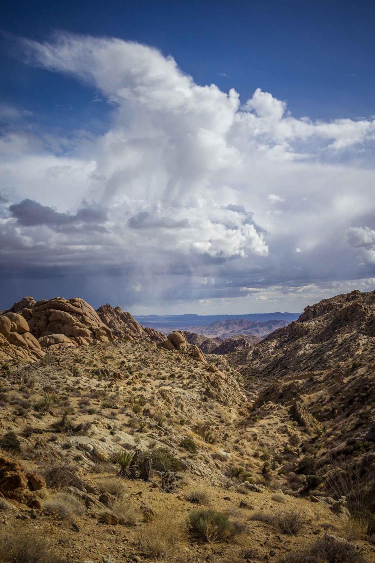 27021130_10155795196671900_5779753628473881733_o