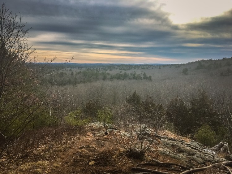 Rocky Woods (1 of 3).jpg