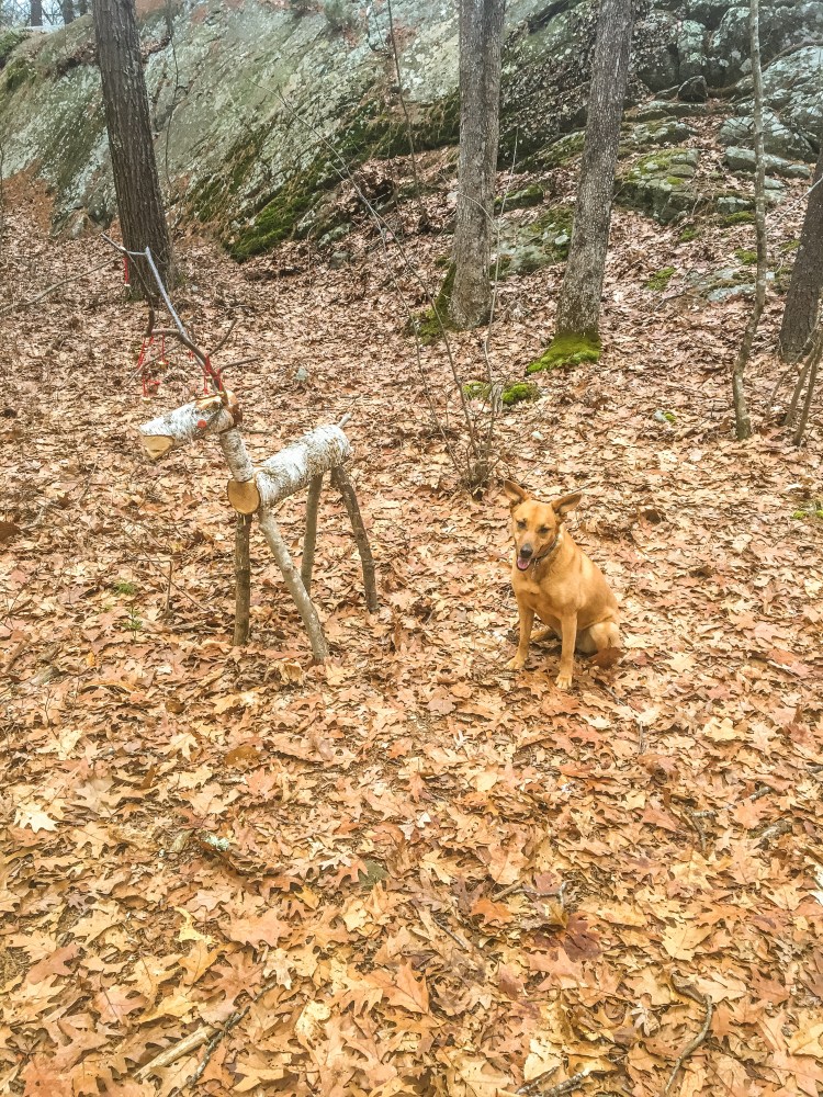 Rocky Woods (2 of 3).jpg