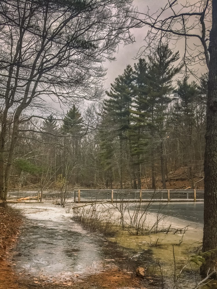 Rocky Woods (3 of 3).jpg