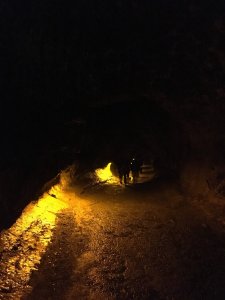 28238060_10155894307606900_4372297960418573106_o