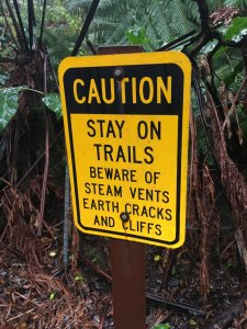 28238287_10155894307456900_5942257830375497068_o