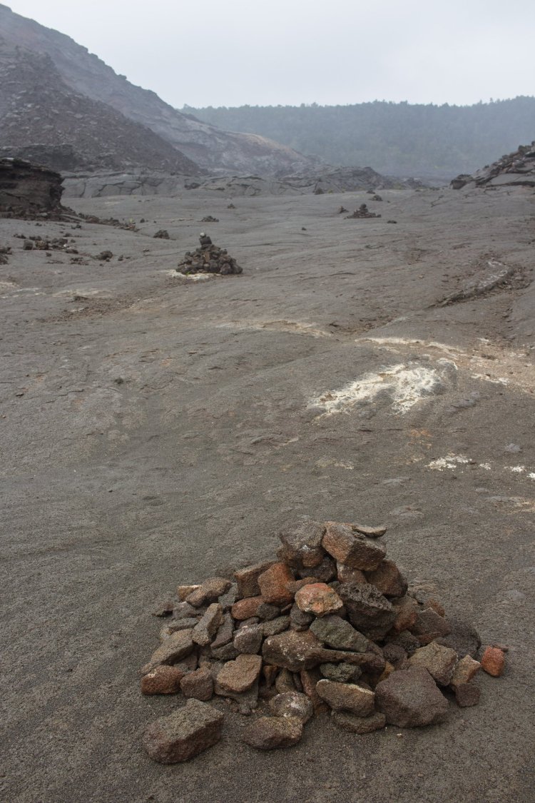 28337326_10155894307926900_7790876889952679730_o