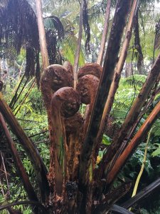 28337418_10155894307796900_5247898280852682081_o