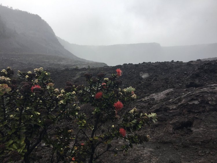 28423776_10155894307231900_6649769202190451279_o