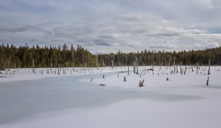 PEI and NB 2018 (1 of 1)-29