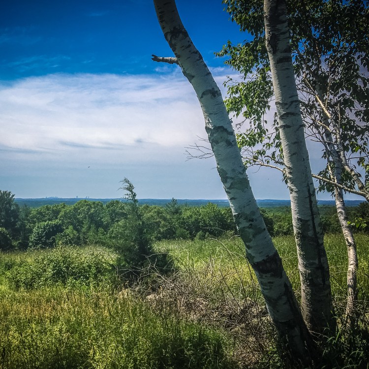 Ward Reservation June 102018 (2 of 8)