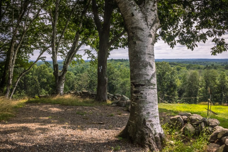 Ward Reservation AUgust 2018 (1 of 3)