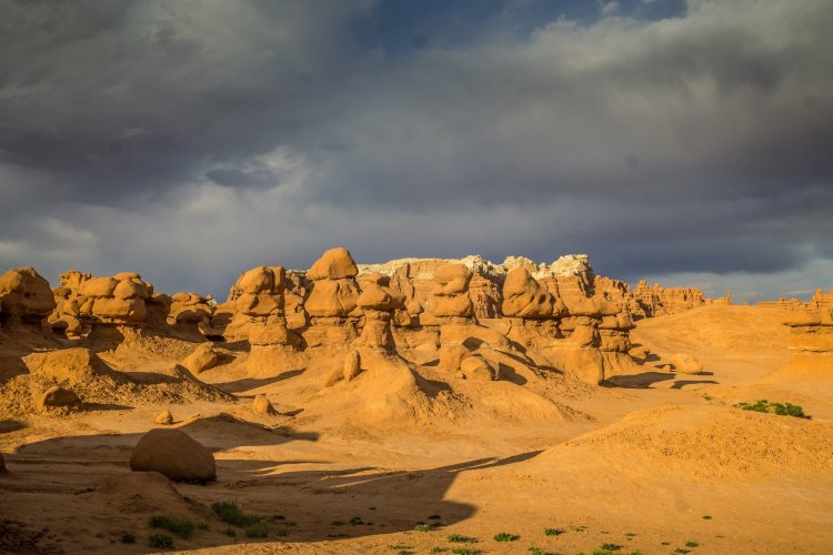 59765948_10156901832926900_56619050624614400_o