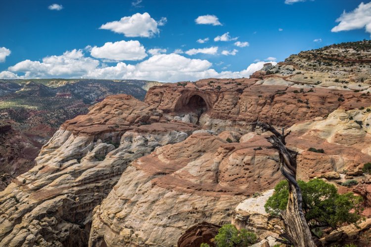 60343884_10156901846286900_4087634183646609408_o